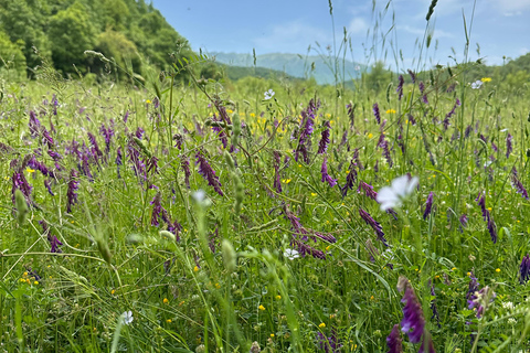 2-Day Gjirokastra & Durres: Horse Riding & Culture Tour Trip