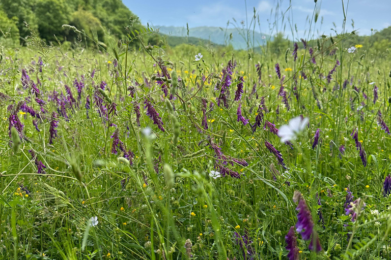 2-Day Gjirokastra & Durres: Horse Riding & Culture Tour Trip