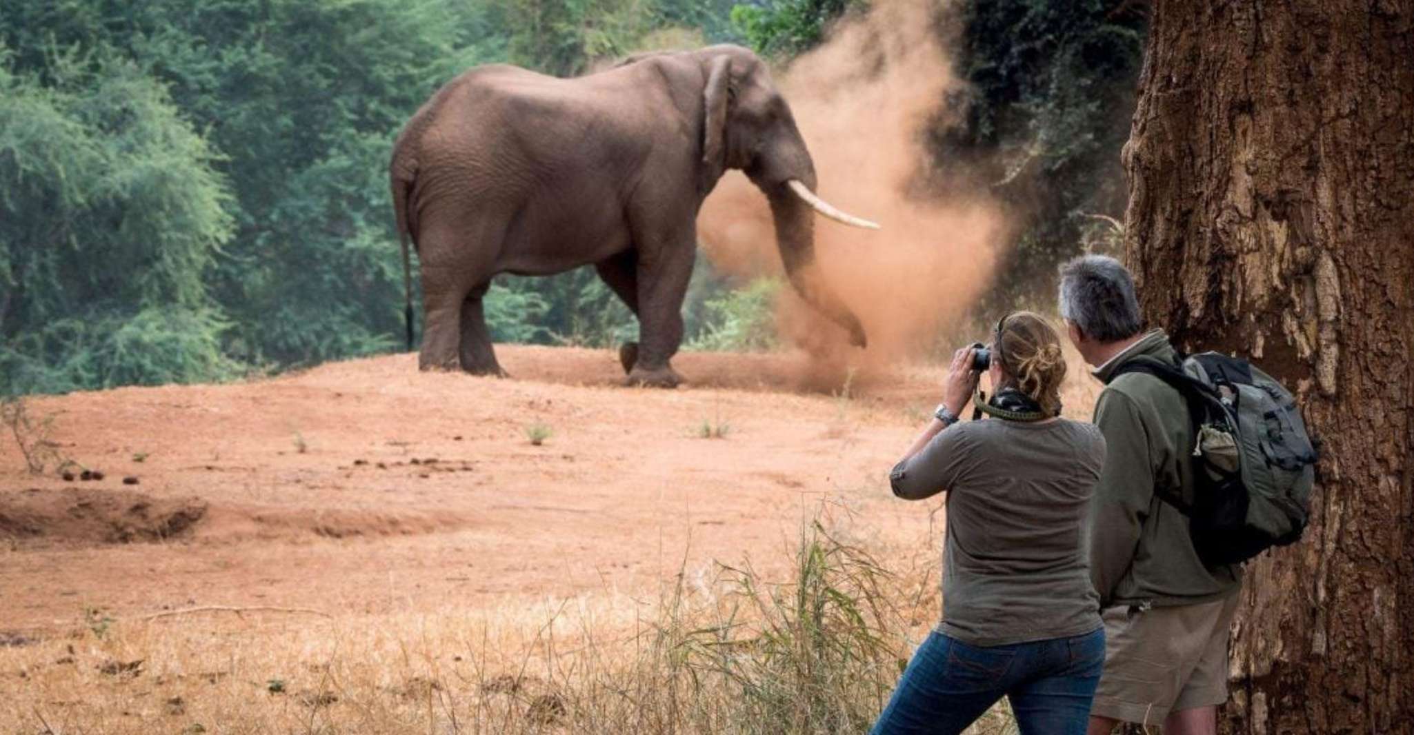 Isimangaliso Wetlands Park Ganztägige Tour von Durban - Hizvo