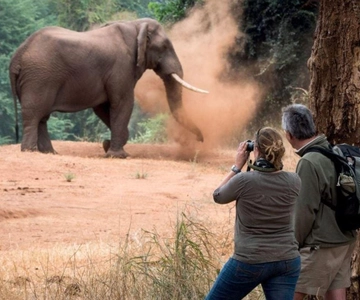 Isimangaliso Day Tour & Hippo & Croc Boat Cruise From Durban