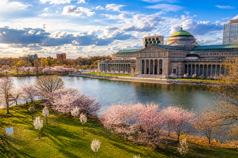 Chicago: Open-Top Bus Shuttle to South Side & Obama Center Shuttle - One-Way Transfer