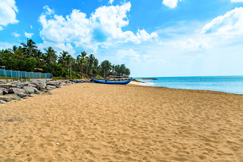 Colombo: 4-day Sri Lanka Full Circle Tour with East Coast Sri Lanka Full Circle 4-day Tour with East Coast