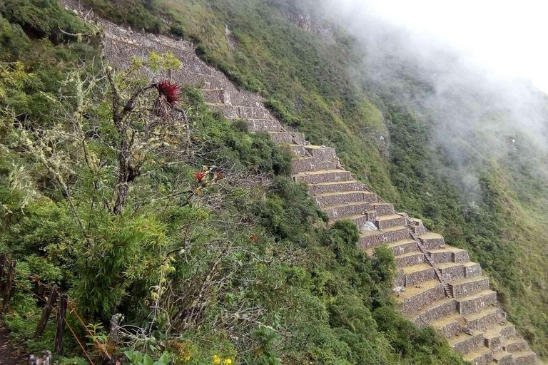 Cusco : Circuit de 5 jours à Choquequirao, la ville inca cachée