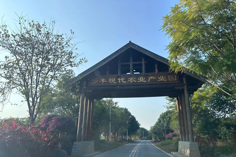 Guangzhou to Zengcheng 1-Day Private Tour: Fruit Picking Guangzhou to Zengcheng: 1-Day Private Tour