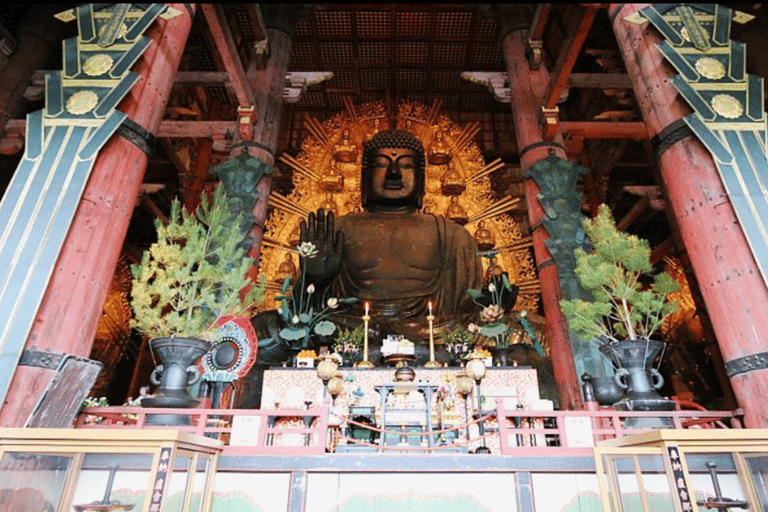 Kyoto & Nara: Guided Walking Tour with Deer Encounter