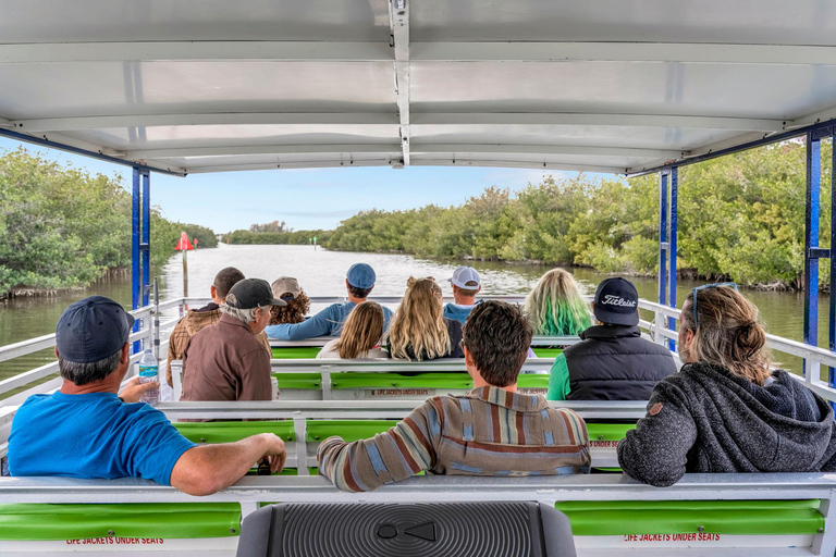Cocoa Beach: Dolphin, Manatee, and Wildlife Boat Tour