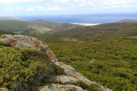 Tour del Nord Africa con il parco Utique-Bizerte-Ichkeul (UNESCO)