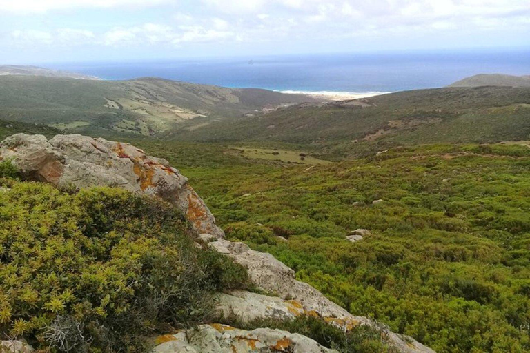 Nordafrika-tur till Utique-Bizerte-Ichkeul park (UNESCO)