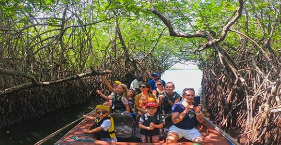 Mirissa/Weligama/Galle: Galle & Bentota Coastal Day Tour
