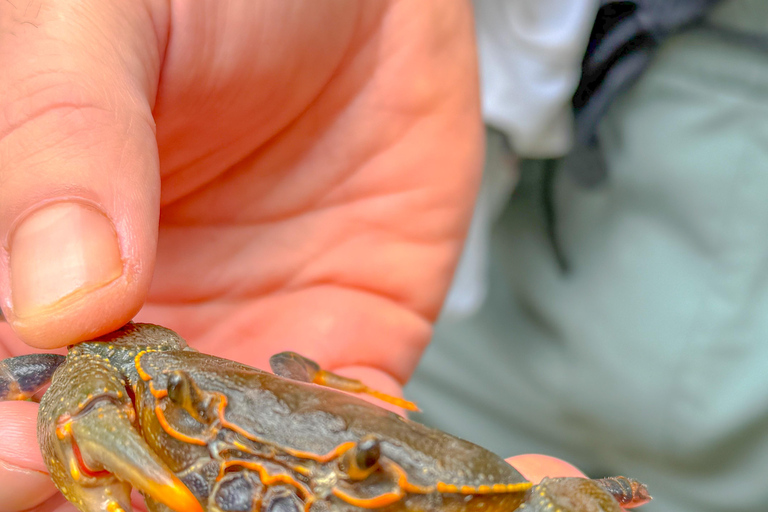 Chiang Mai: The Original Sticky Waterfalls & Thai Cooking