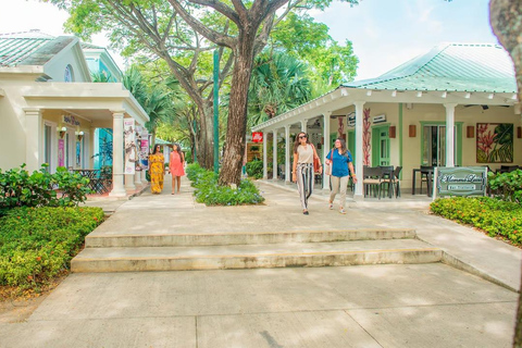 Punta Cana: Uvero Alto Private VIP Road Trip to Secrets Tide