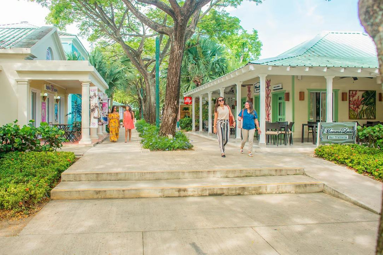 Punta Cana: Uvero Alto Private VIP Road Trip to Secrets Tide