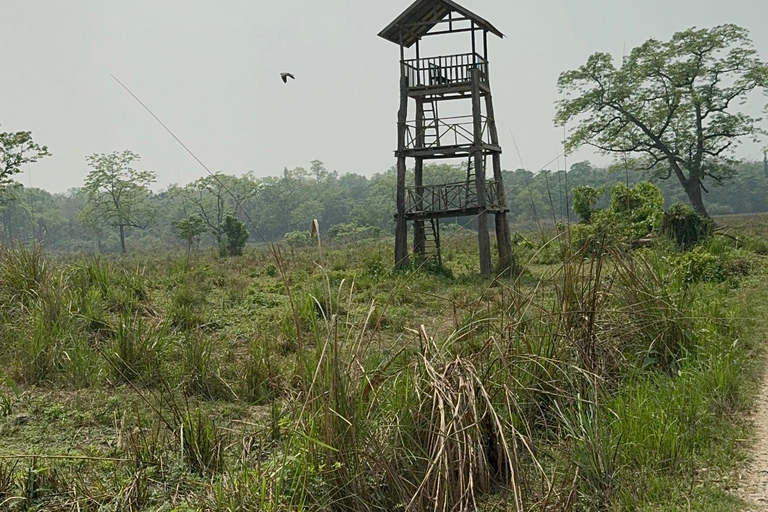 From Pokhara: Chitwan 2N/3D National Park Tour