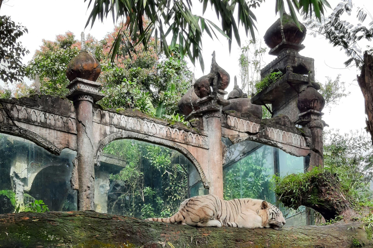 Jacarta : Taman Safari, Palácio do Panda e Cachoeira