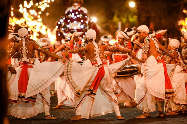 Kandy Esala Perahera Tour with Hotel Pickup From Colombo