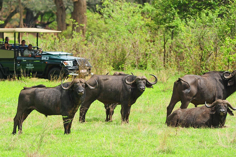 Recorrido de cazaSafari no privado