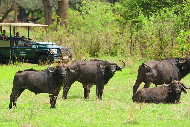 Game drive Game Drive Non Private