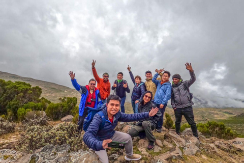 &quot;Die Wildnis erkunden: Eine 4-tägige Wanderung durch die Bale Mountains&quot;