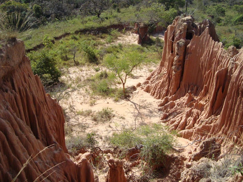 4- hour hiking tour in two different tropical worlds - Housity