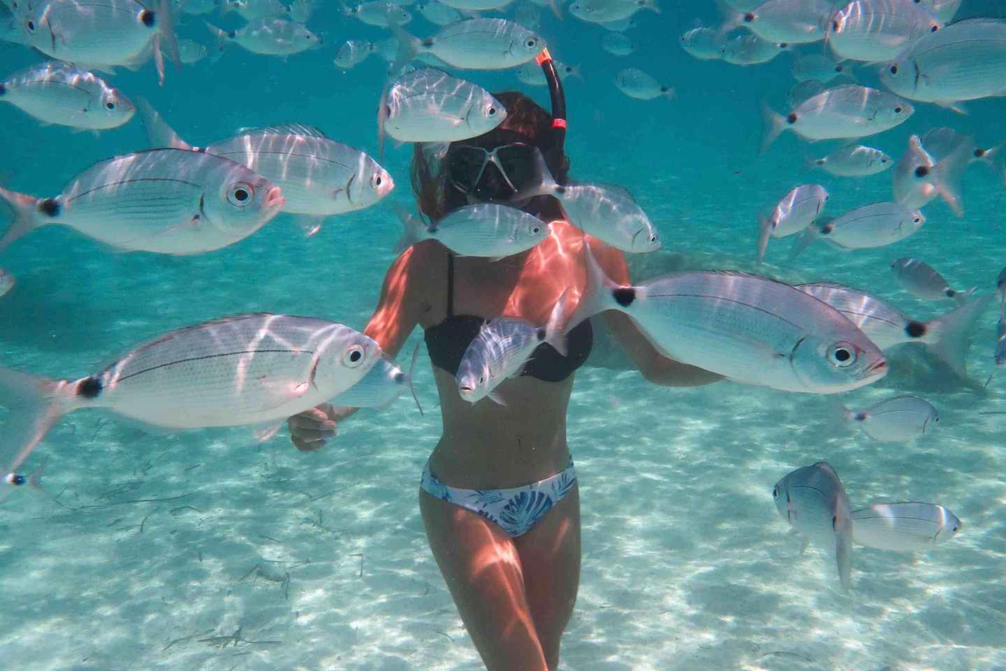 Кальви: Подводное путешествие у границы природного заповедника