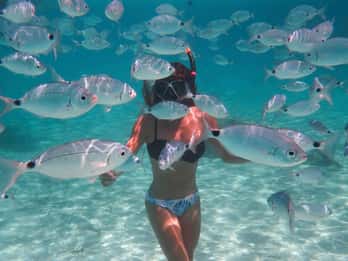 Calvi : Snorkeling Adventure by the Natural Reserve