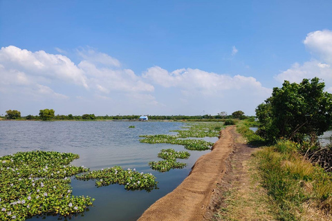 Kochi: Kadamakkudy, Cathedral & Water Metro( Fiddler Tours)