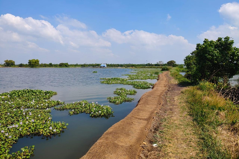 Kochi: Kadamakkudy, Cathedral & Water Metro( Fiddler Tours)