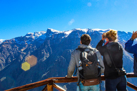 Från Arequipa: Colca Canyon guidad dagsutflykt med måltiderFrån Arequipa: Colca Canyon heldagsutflykt med guide och måltider