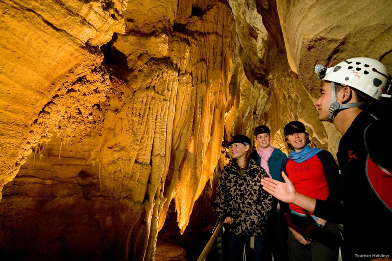 RUAKURI CAVE &amp; HAMILTON GARDENS-PRIVATE TOUR FROM AUCKLAND