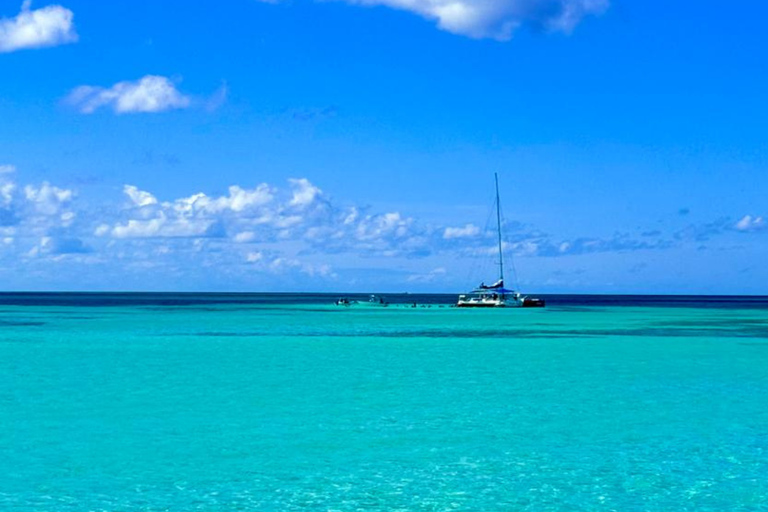 Punta Cana: Saona Island Paradise Catamaran Sightseeing Tour with Lunch and Drinks Punta Cana: Macao Beach and Local Dominican Experience