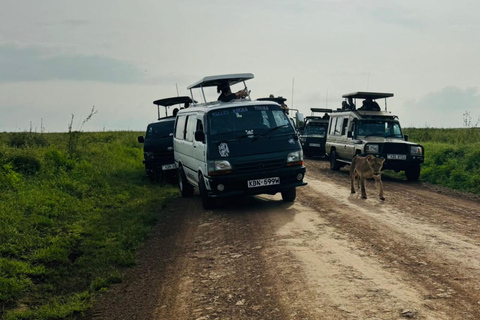 Nairobi National Park Game Drive Safari With Pick-Up