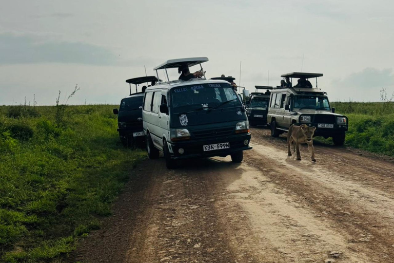 Nairobi National Park Game Drive Safari With Pick-Up