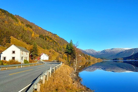 Tour privato di un giorno intero a Flåm