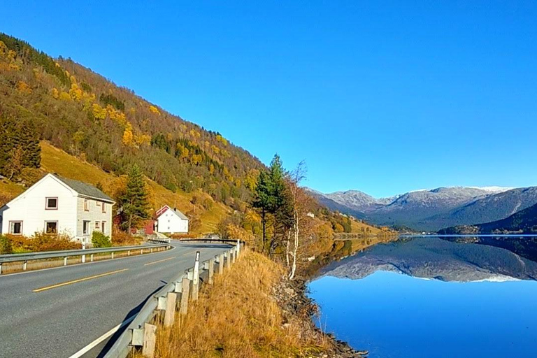 Full day private tour to Flåm