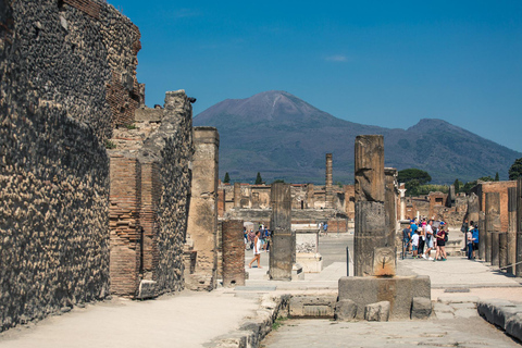 Pompeii: Private Guided Tour with Pick-up Private Tour in French from Positano