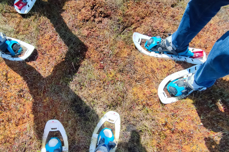 Nature adventure - Bog hike, Foraging, Countryside culture