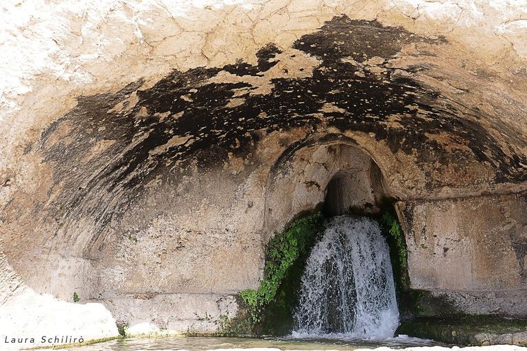 From Catania: Syracuse and Noto Culture and History Tour