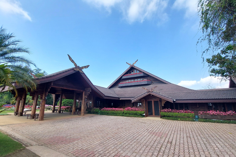 Chiang Rai: Mountains Discovery Doi Mae Salong & Doi Tung Mountains Discovery:Doi Mae Salong & Doi Tung (Private Tour)