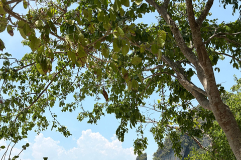 Koh Yao Yai/Noi: 5-Island Private Tour with Snorkel & Lunch