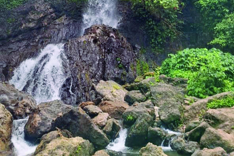 Bali: Tegenungan Waterfall, Ubud, and Rice Fields Tour
