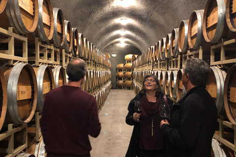 Seattle: Woodinville Guided Wine Tour with Optional Tastings