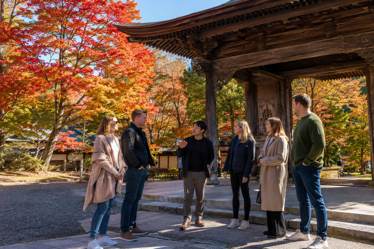 Takayama: Private Old Town, Temples & Autumn Colors Walk