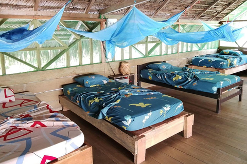 3-Day Amazon Expedition: Jungle, River & Wildlife Tour