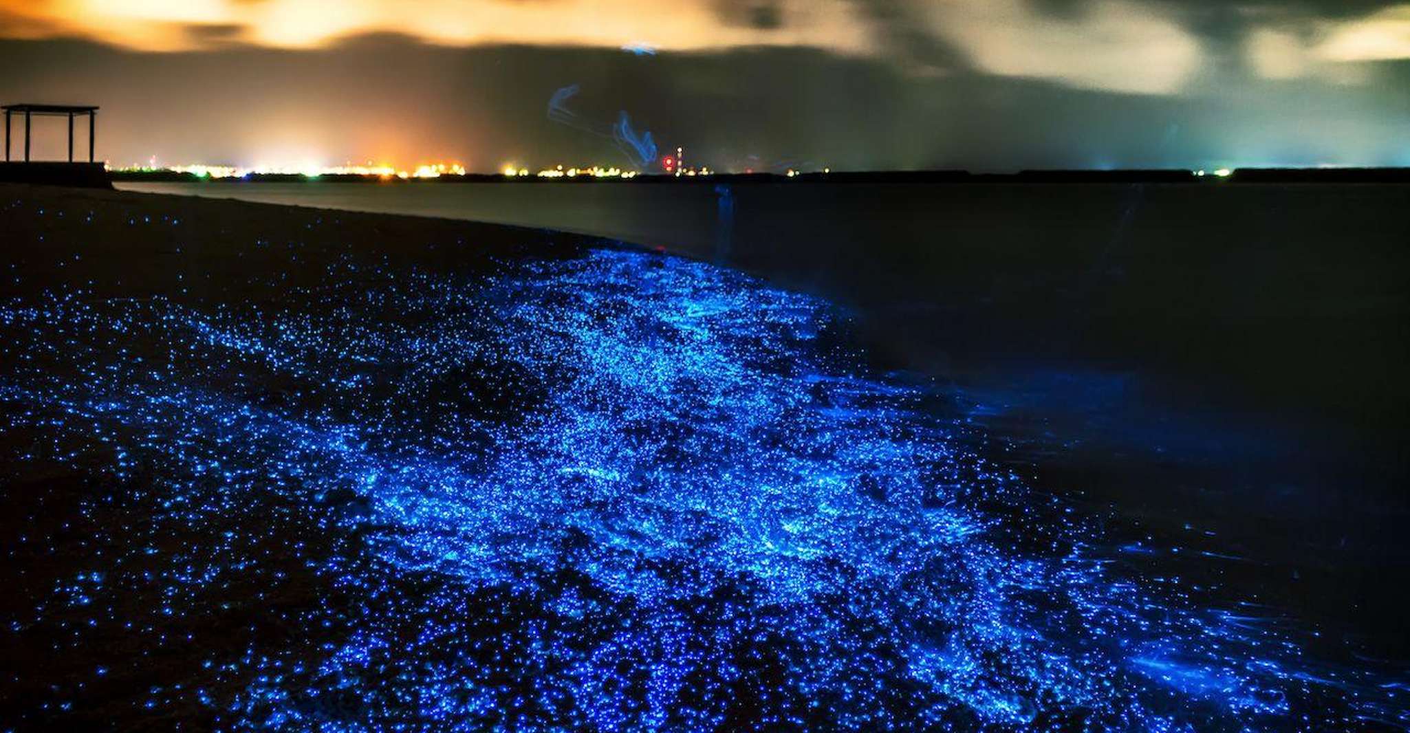 Phuket, Phang Nga Bay Plancton bioluminescent et canots de mer - Hizvo