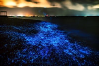 Phuket, Phang Nga Bay Plancton bioluminescent et canots de mer - Hizvo