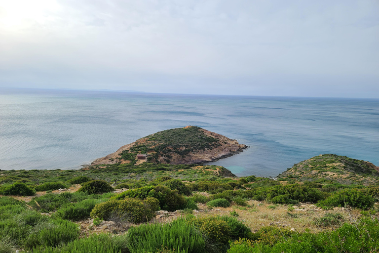 From Tunis: Korbous Trek, Hot Springs, and Sea Caves Tour