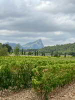 Da Montpellier, Pic Saint-Loup Wine and Food Tour - Housity