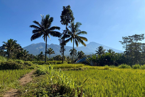 Tetebatu Walking Tour