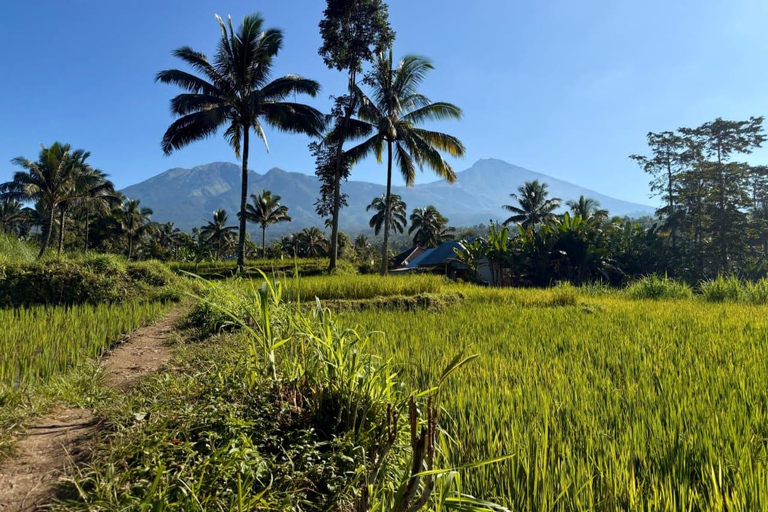 Tetebatu Walking Tour