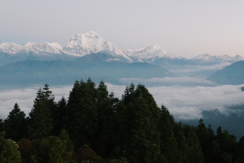 Pokhara: 5-daagse Ghorepani en Poon Hill Trek via Ghandruk